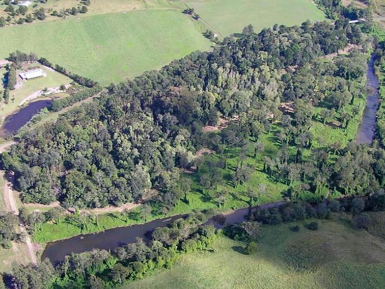 Moore Park Nature Reserve. Photo: Stephen King/NSW Government