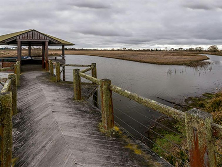 Mother of Ducks Lagoon Nature Reserve birdwatching platform, Mother of Ducks Lagoon Nature Reserve.