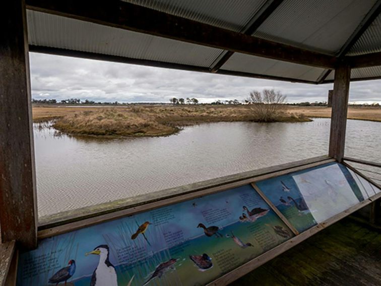 Mother of Ducks Lagoon Nature Reserve birdwatching platform, Mother of Ducks Lagoon Nature Reserve.