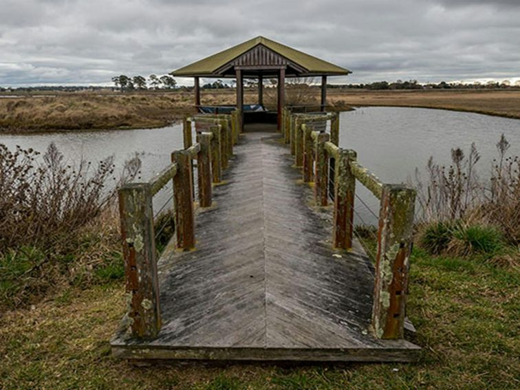 Mother of Ducks Lagoon Nature Reserve birdwatching platform, Mother of Ducks Lagoon Nature Reserve.