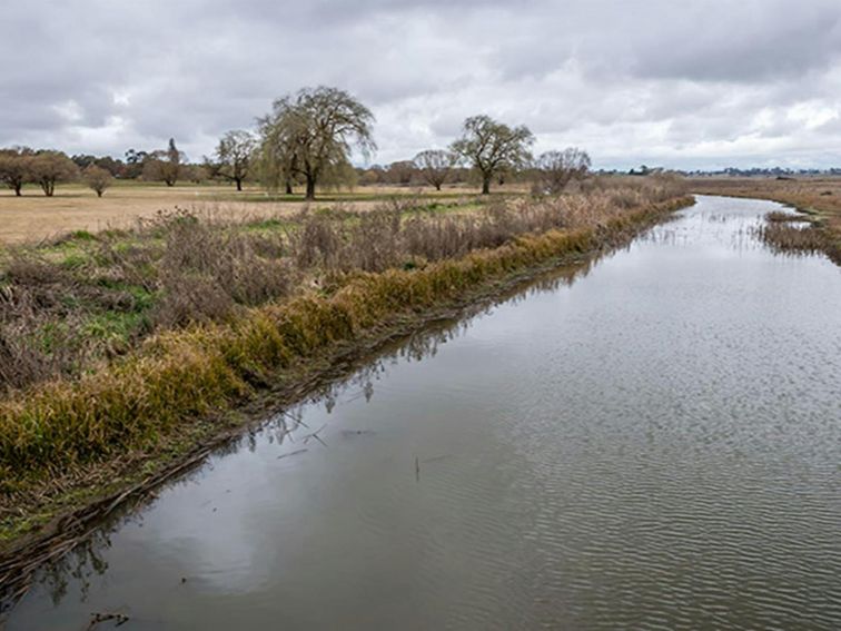 Lagoon shore, Mother of Ducks Lagoon Nature Reserve birdwatching platform. Photo: John Spencer