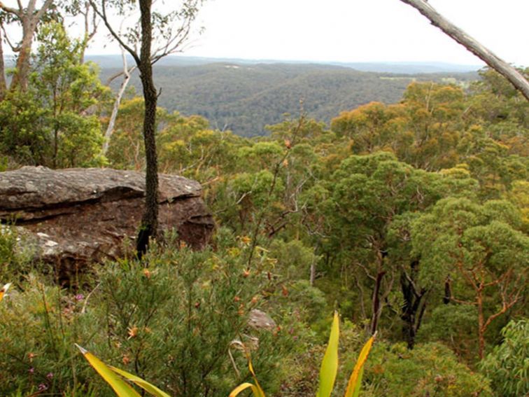 View from Mount Olive lookout. Photo: John Yurasek &copy; DPIE