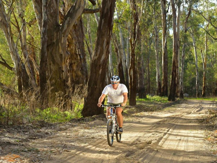 Man bike riding in Murrumbidgee Valley Regional Park. Credit: Gavin Hansford &copy; DPE