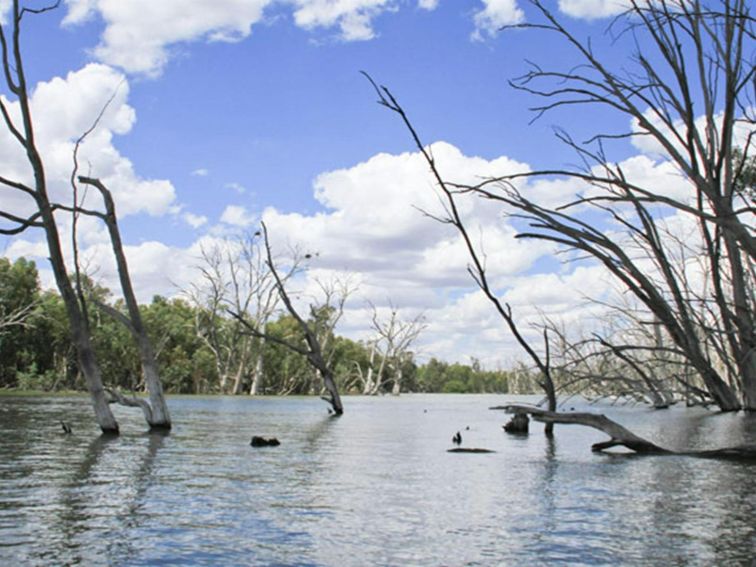 Wooloondool, Murrumbidgee Valley National Park. Photo: OEH