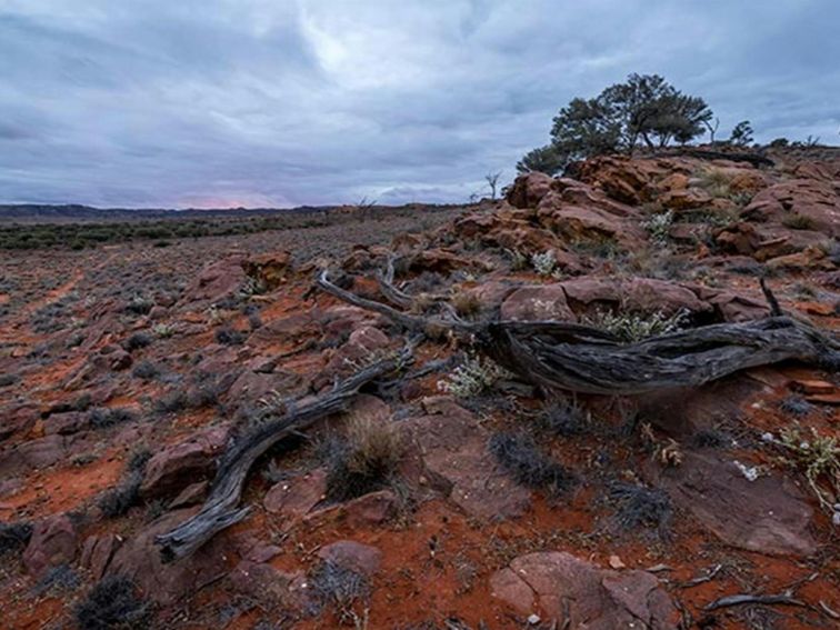 Mutawintji National Park rocky landscape at sunset. Photo: John Spencer/OEH