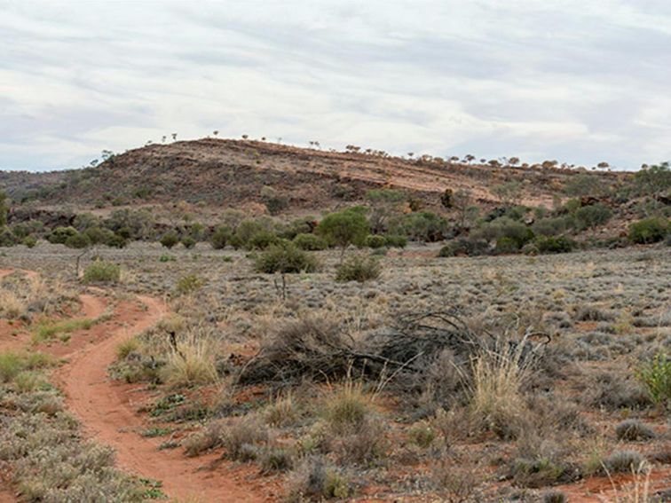 Bynguano Range walk, Mutawintji National Park. Photo: John Spencer/OEH