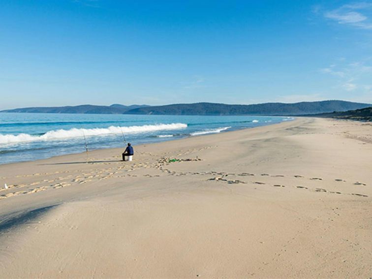 Wonboyn Beach, Nadgee Nature Reserve. Photo: John Spencer &copy; OEH