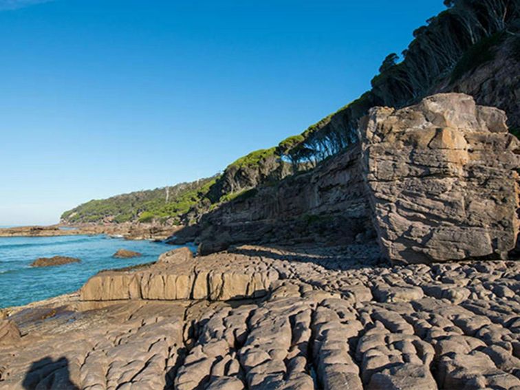 Greenglade, Nadgee Nature Reserve. Photo: J Spencer/OEH.