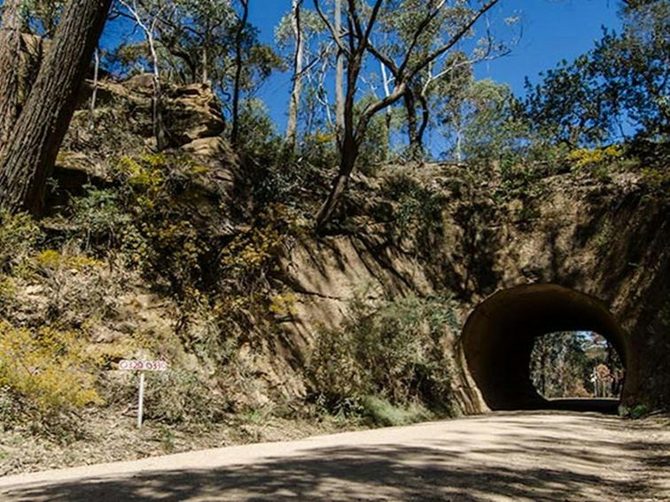 World Heritage Drive, Nattai National Park. Photo: John Spencer &copy; DPIE