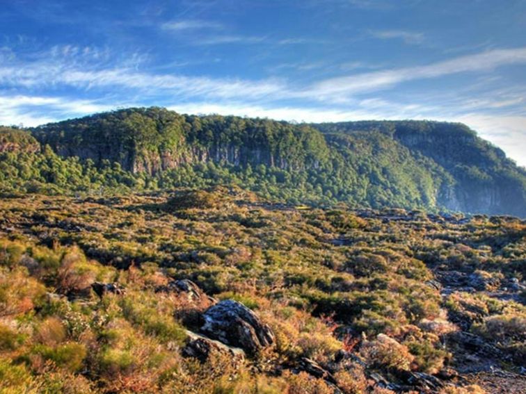 Point lookout from Wrights lookout, New England National Park. Photo: Shane Ruming/OEH