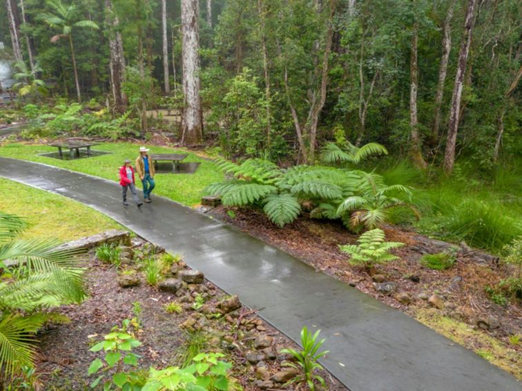 Visitors walking on paved pathway at Minyon Falls picnic area. Credit: John Spencer &copy; DPE