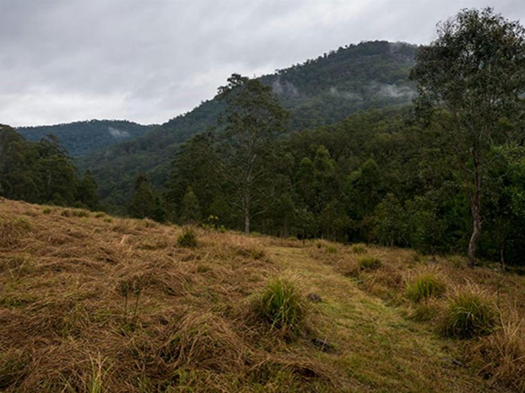 Escarpment terrain, Nowendoc National Park. Photo: John Spencer &copy; DPIE