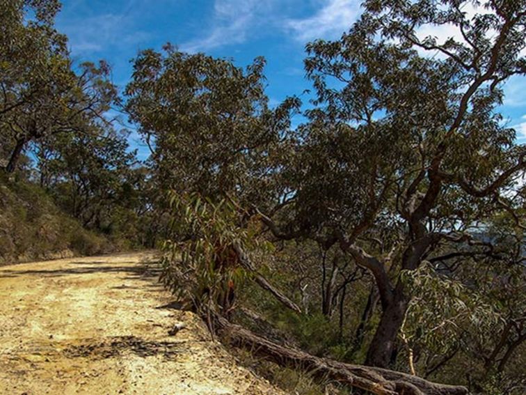 Parr State Conservation Area | NSW Government