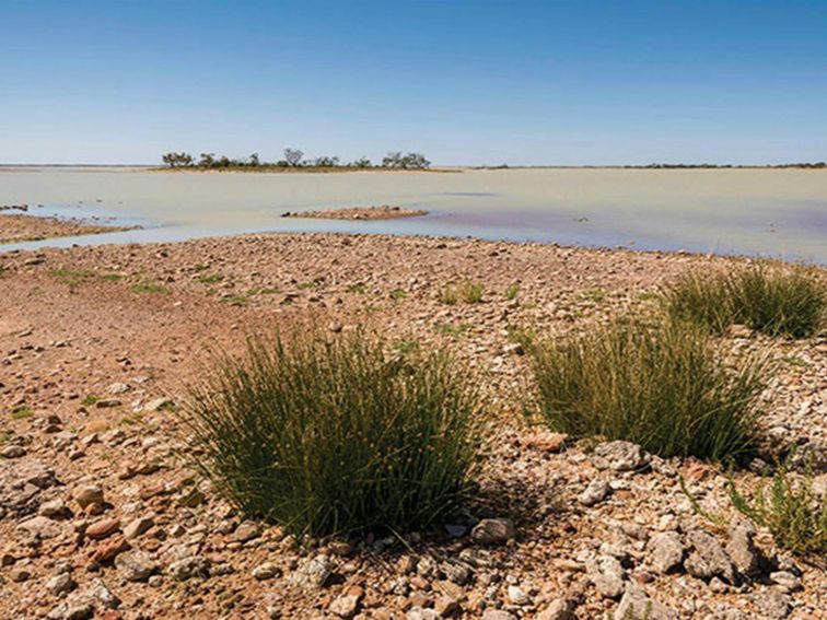 Peery Lake in Paroo Darling National Park. Photo: John Spencer &copy; DPIE