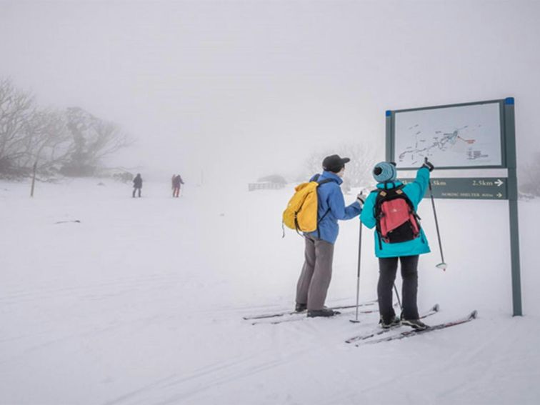 Perisher Range cross-country ski trails, Kosciuszko National Park. Photo: John Spencer/OEH