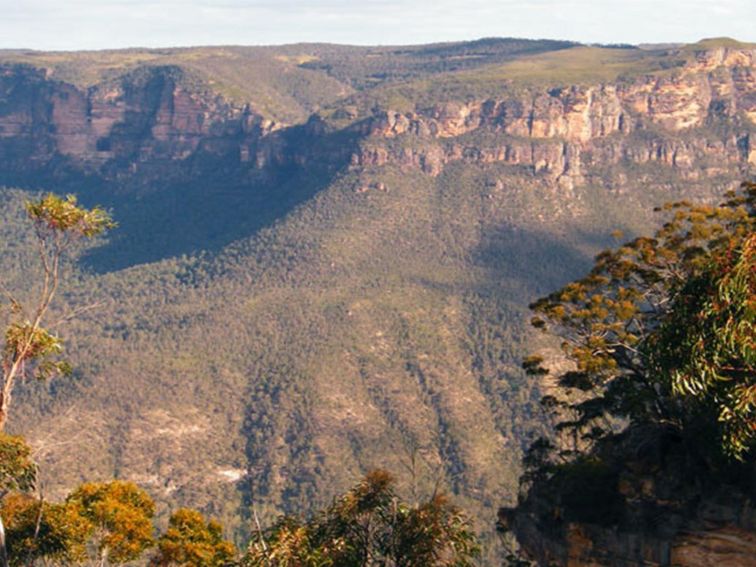 Perrys Lookdown to Blue Gum Forest, Blue Mountains National Park. Photo: Craig Marshall &copy; OEH