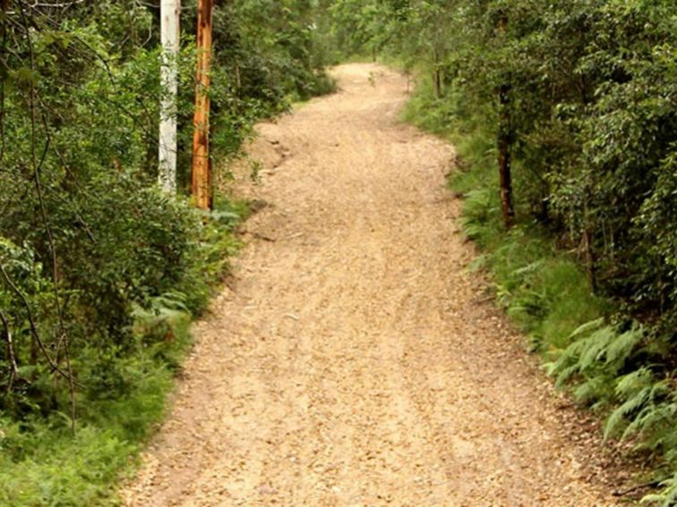 Pipeline trail, Popran National Park. Photo: John Yurasek &copy; DPIE