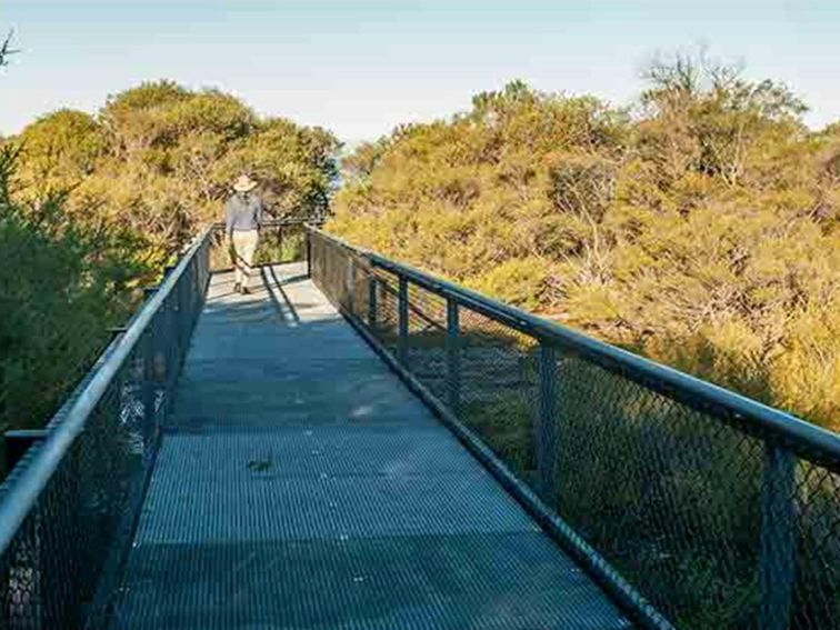 Pointer Gap lookout, Morton National Park. Photo: Michael Van Ewijk &copy; OEH