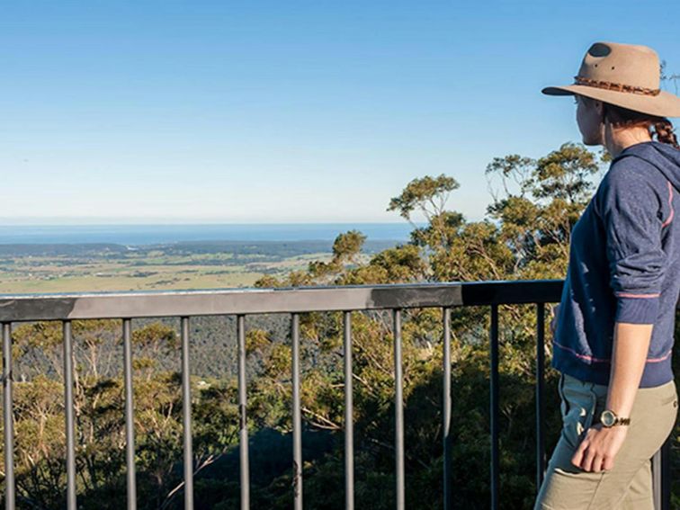 Pointer Gap lookout, Morton National Park. Photo: Michael Van Ewijk &copy; OEH