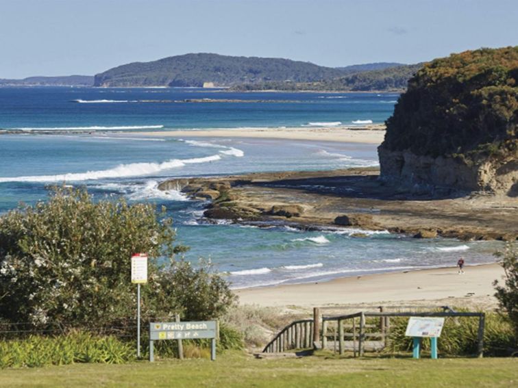 View over Pretty Beach from Pretty Beach picnic area in Murramarang National Park. Photo credit: