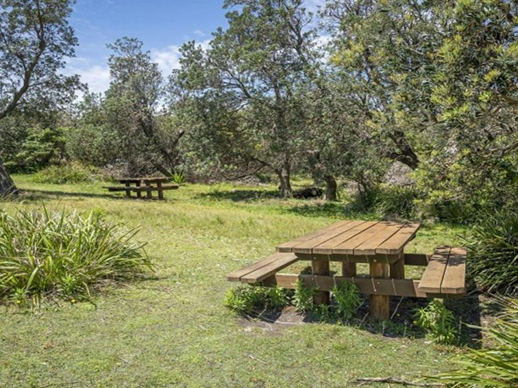 Picnic tables at Pretty Beach picnic area. Photo credit: John Spencer &copy; DPIE