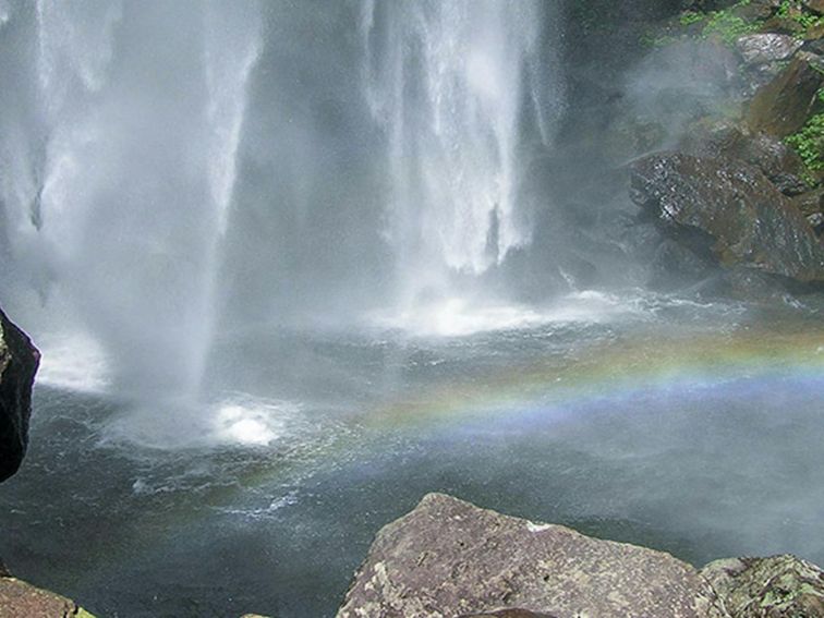 Protestors Falls walking track, Nightcap National Park. Photo: Brian McLachlan &copy; DPE