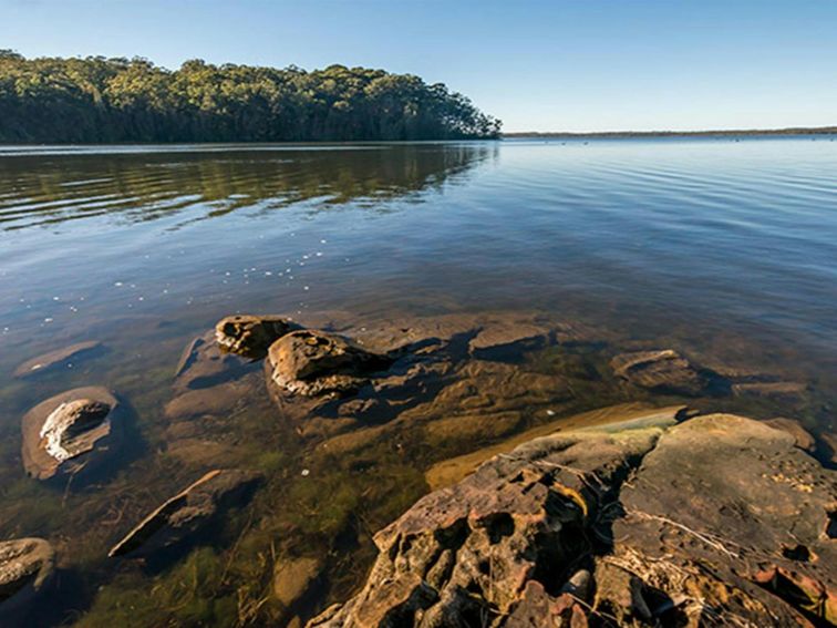 Queens Lake Nature Reserve. Photo: John Spencer &copy; DPIE