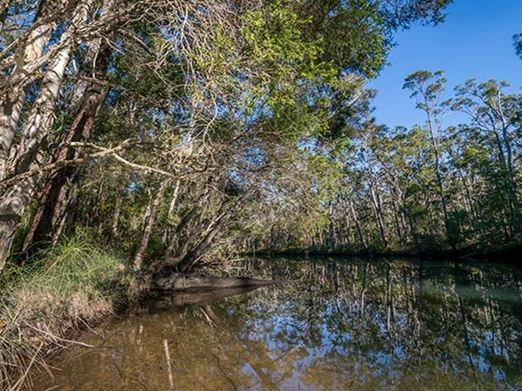 Queens Lake Nature Reserve. Photo: John Spencer &copy; DPIE