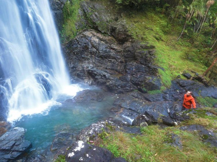 Red Cedar Falls walking track, Dorrigo National Park. Photo: Rob Cleary &copy; OEH