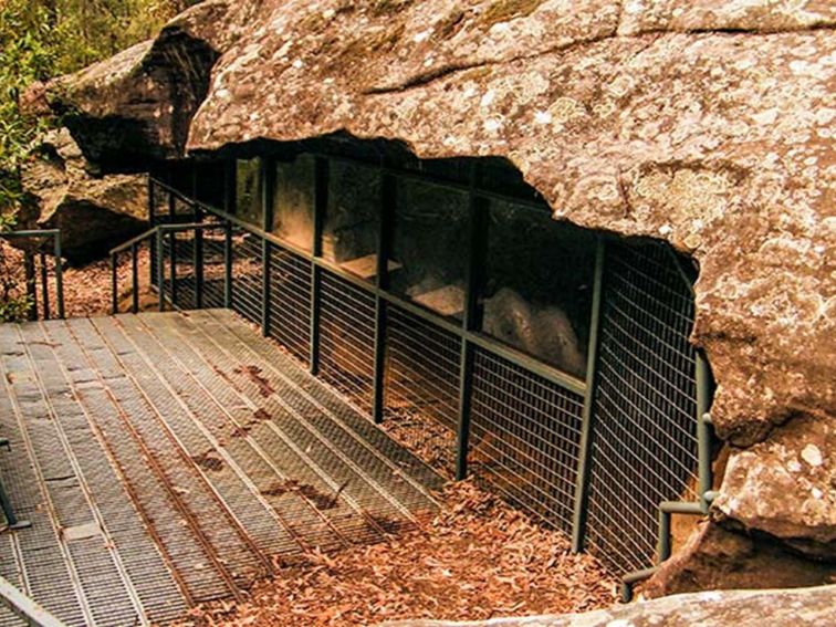 Red Hands Cave, Blue Mountains National Parks. Photo: Craig Marshall &copy; OEH and photographer