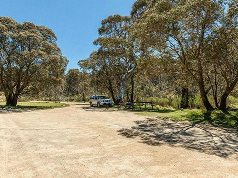 Sawpit Creek picnic area, Kosciuszko National Park. Photo: Murray Vanderveer &copy; OEH