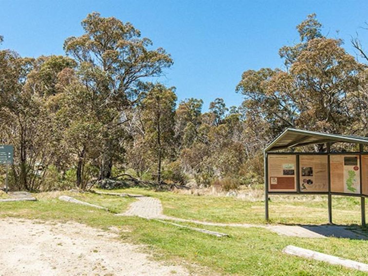 Sawpit Creek picnic area, Kosciuszko National Park. Photo: Murray Vanderveer &copy; OEH