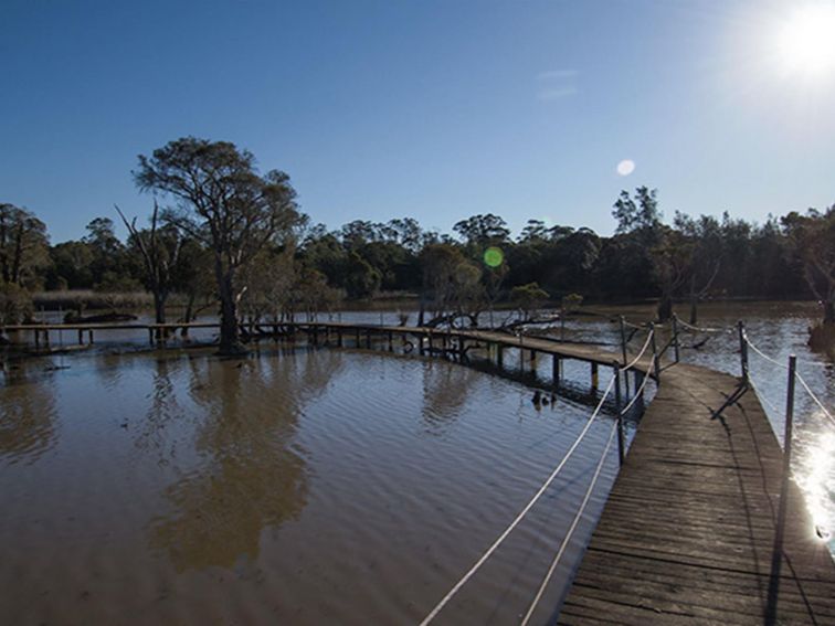 Longneck Lagoon walking track. Photo: John Spencer &copy; DPIE