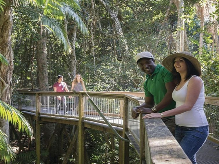 A couple enjoys the Sea Acres Rainforest boardwalk. Photo: John Spencer &copy; OEH