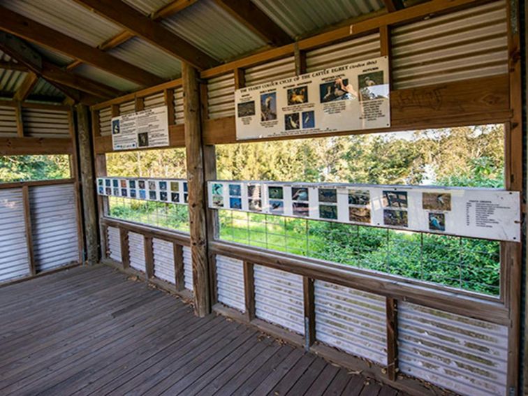 Seaham Swamp Nature Reserve. Photo: John Spencer &copy; DPIE