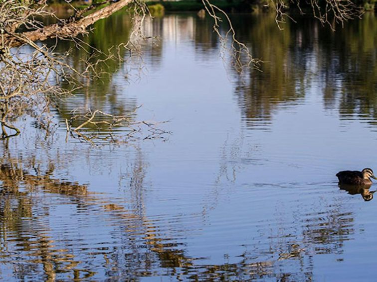 Seaham Swamp Nature Reserve. Photo: John Spencer