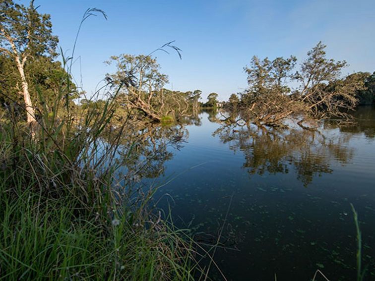 Seaham Swamp Bird Hide, Seaham Swamp Nature Reserve. Photo: John Spencer