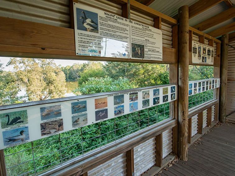 Seaham Swamp Bird Hide, Seaham Swamp Nature Reserve. Photo: John Spencer