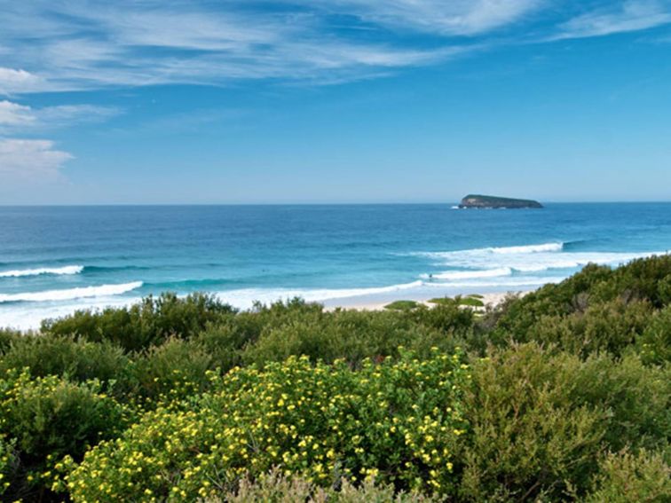 Tea Tree picnic area beach views, Munmorah State Conservation Area. Photo: John Spencer