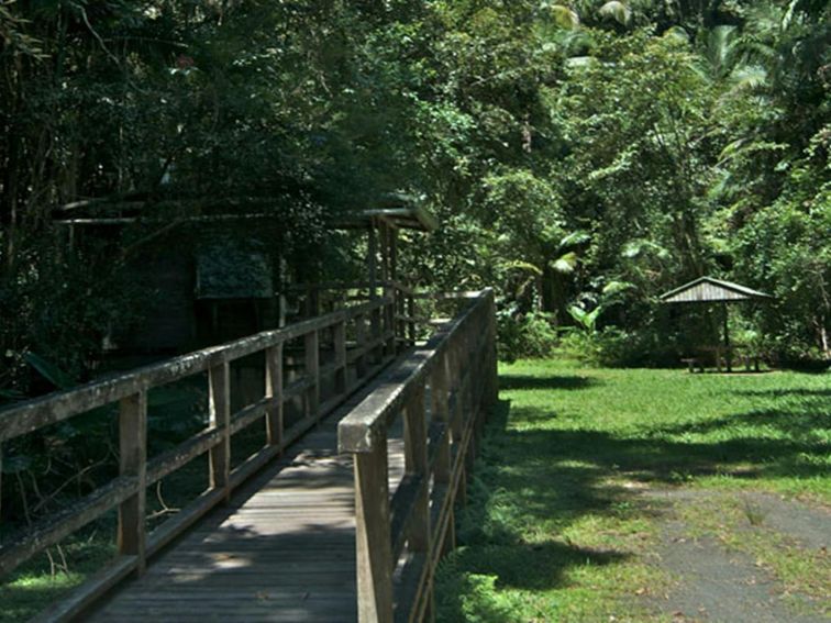 Walkway into Terania Creek picnic area. Photo: John Spencer