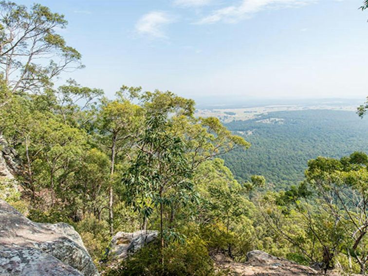 The Narrow Place lookout, Watagans National Park. Photo: John Spencer &copy; DPIE