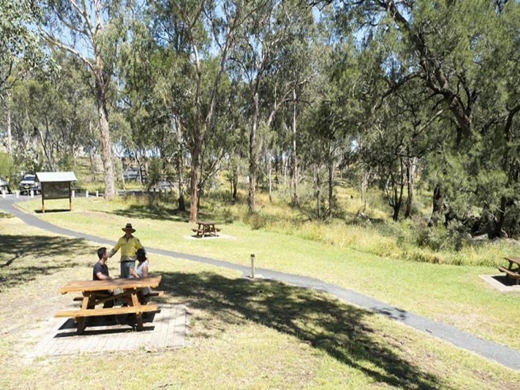 Picnickers chat with an NPWS staff member at Threlfall picnic area. Photo: Leah Pippos &copy;DPIE