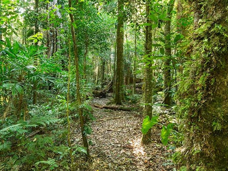 Tooloom walking track, Tooloom Nature reserve. Photo: John Spencer &copy; DPIE