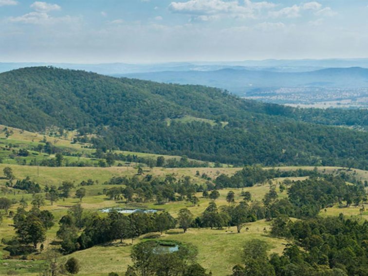 Tooloom lookout, Tooloom Nature reserve. Photo: John Spencer &copy; OEH