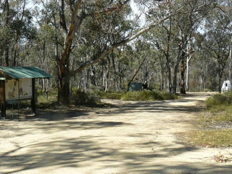 Blatheram campground, Torrington State Conservation Area. Photo: NSW Government