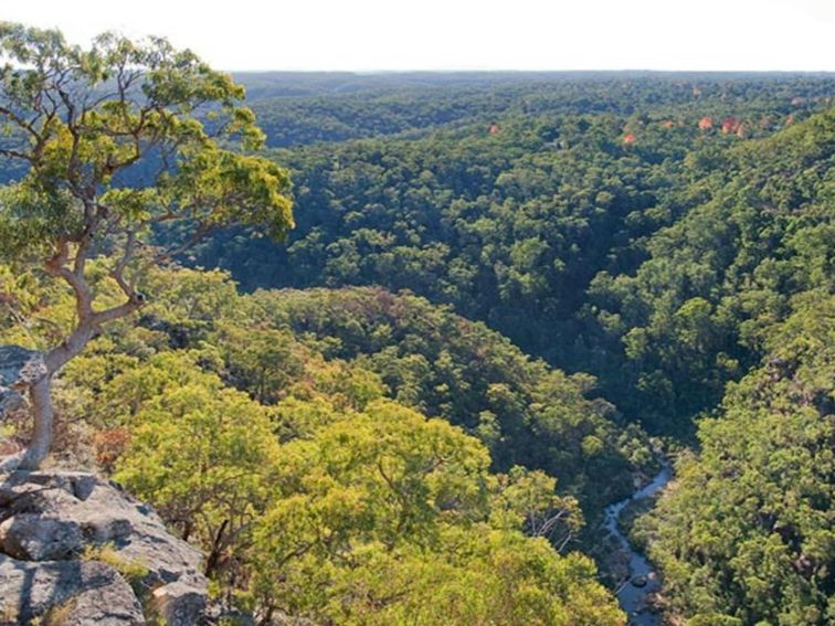 Tunnel View lookout, Blue Mountains National Park. Photo: Nick Cubbin &copy; OEH