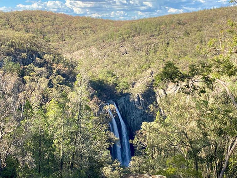 View of Horton Falls surrounded by bushland, in Horton Falls National Park.  Photo: Lauren Sparrow