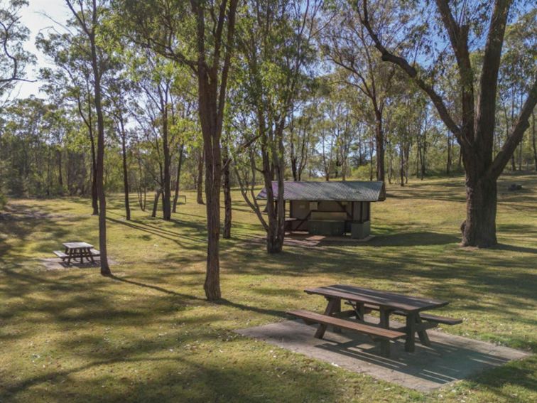 Picnic tables and barbecue facilities at Washpools picnic area. Credit: John Spencer &copy; DPE