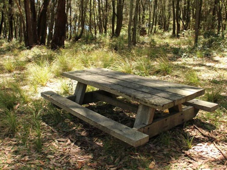 Wasp Head Picnic Area, Murramurang National Park. Photo: John Yurasek/NSW Government