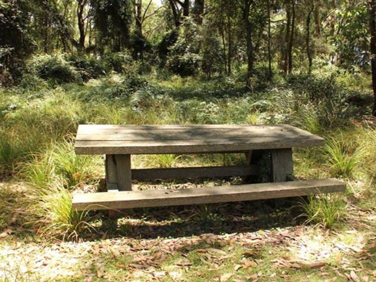 Wasp Head Picnic Area, Murramurang National Park. Photo: John Yurasek/NSW Government